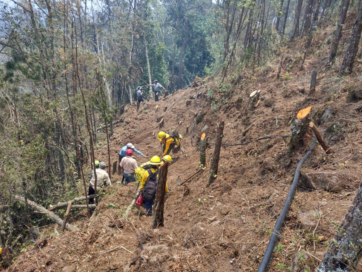 Siguen activos 11 incendios forestales en Veracruz, siete de ellos ya están siendo controlados: Sedema