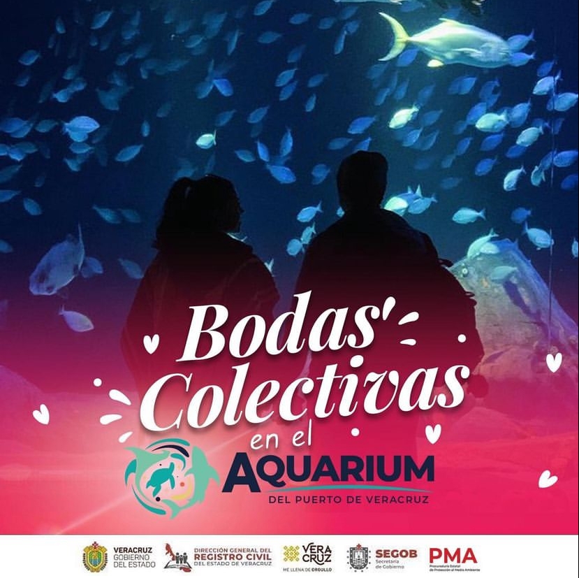 Anuncian bodas colectivas gratuitas en Aquarium de Veracruz