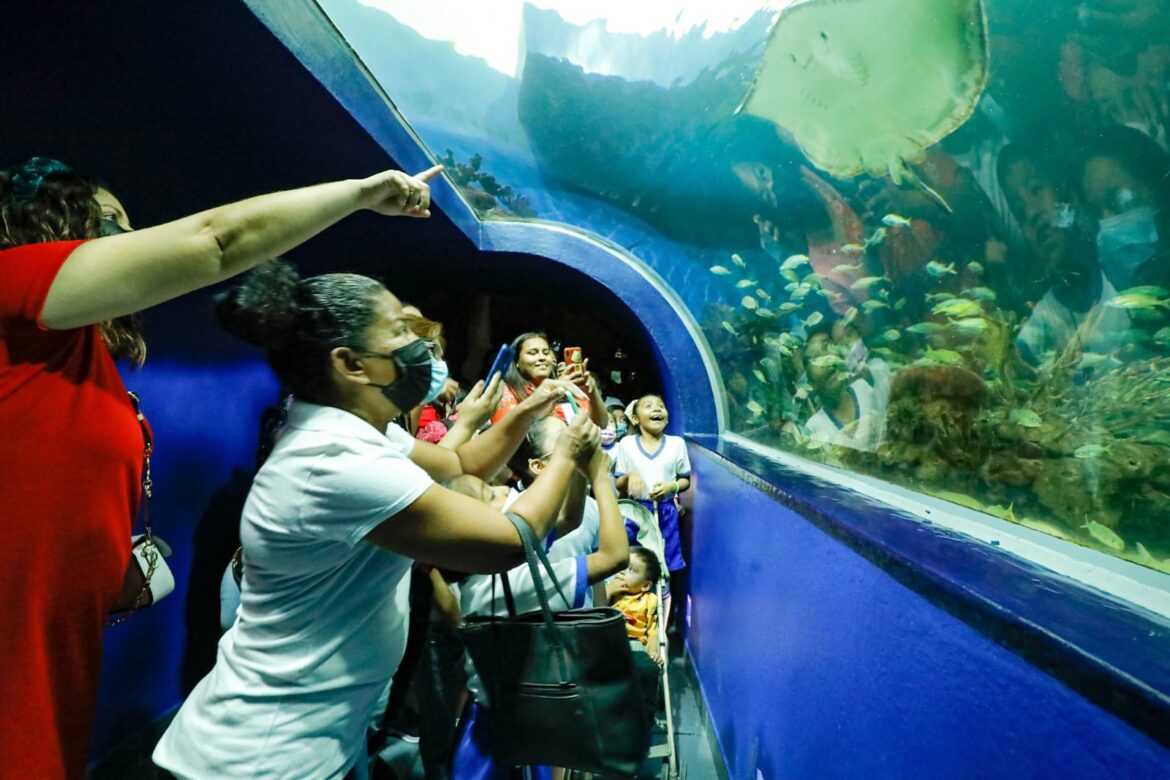 Podría aumentar dos martes gratis de Aquarium por mes: Cuitláhuac García