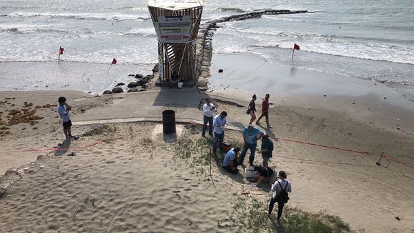 Aquarium de Veracruz resguarda 118 huevos de tortuga marina ubicados en playas de Boca del Río