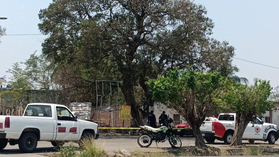 Perro ataca a niño y le quita la vida en Paso de Ovejas