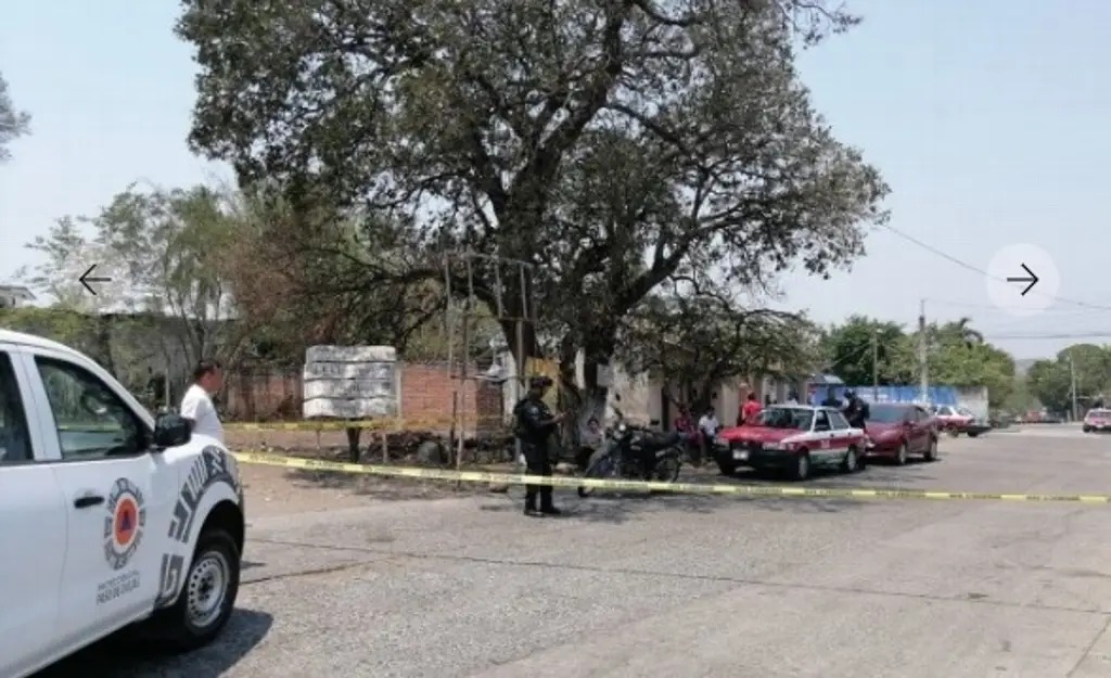 Sacrifican a perra que mató a niño de 2 años en Paso de Ovejas