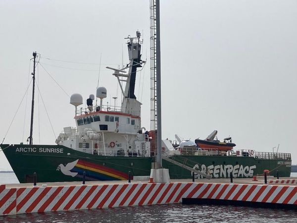 Greenpeace investigará arrecifes y barcos hundidos en las aguas de Veracruz