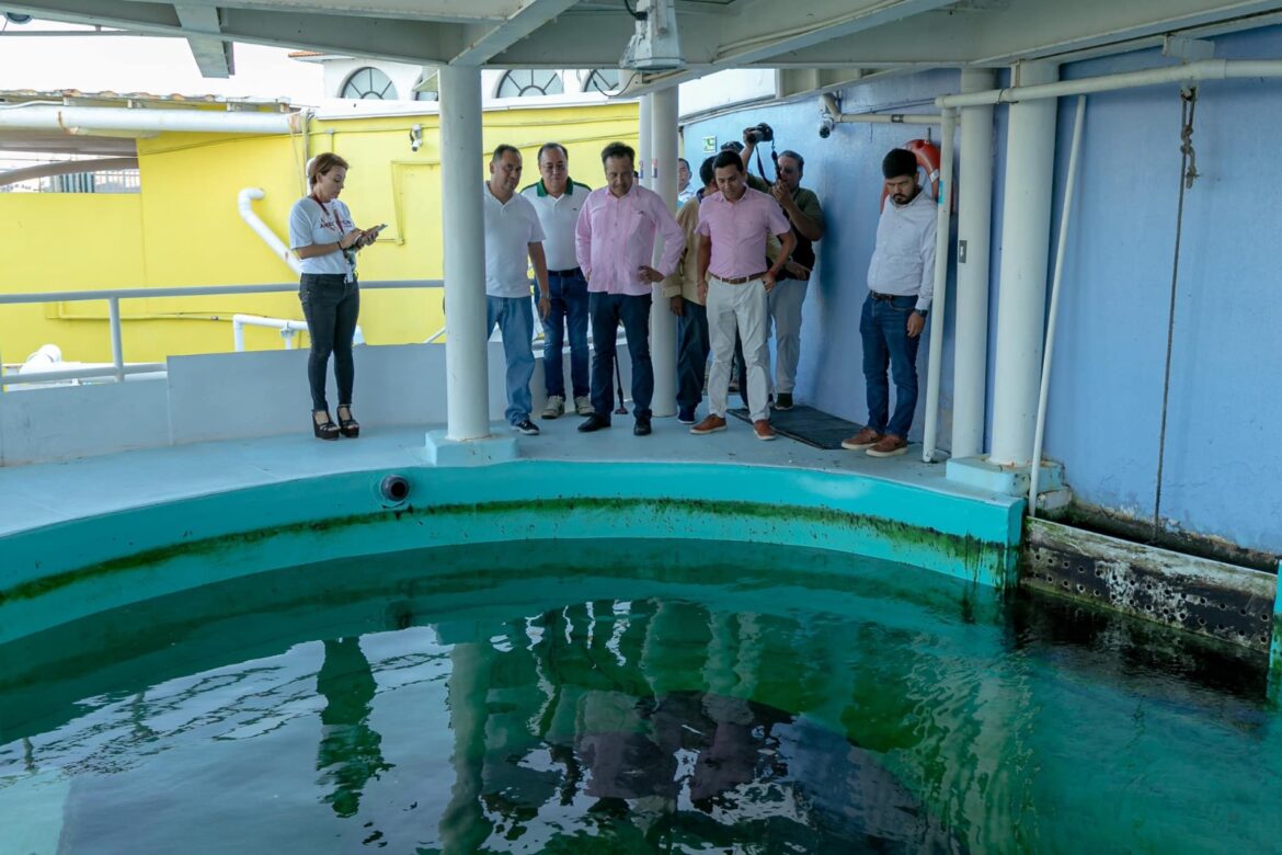 Inicia etapa de modernización del Aquarium en el Puerto de Veracruz con inversión de 119 mdp