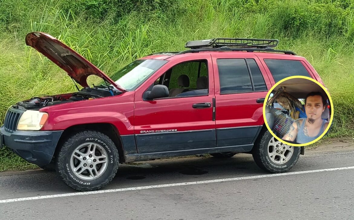 Tras ataque de jabalí fundador de Earth Mission pide dinero para reparar su camioneta