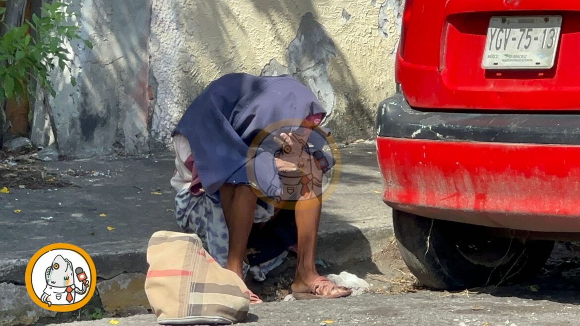 Enjambre de abejas ataca a mujer en situación de calle