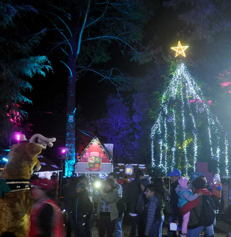 Veracruz se prepara con un calendario de actividades gratuitas para las fiestas decembrinas