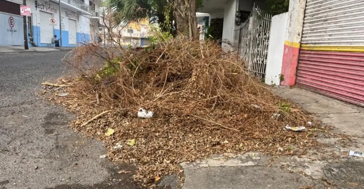 Vecinos denuncian tiradero de ramas que dejaron autoridades al podar árboles